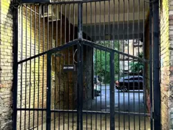 ��������, �� ������ � ���, � �������� 🐾 ���� 41