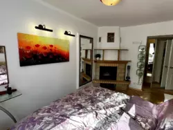 ��������, �� ������ � ���, � �������� 🐾 ���� 12