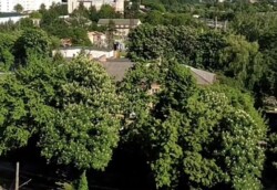 ������� 2-� ������� �������� ���������� �����. ���. �������� ���� 5