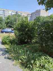 Здається 3-х кімнатна квартира в Ленінському районі. За вигідною ціною. фото 9 Здається 3-х кімнатна квартира в Ленінському районі. За вигідною ціною. фото 9