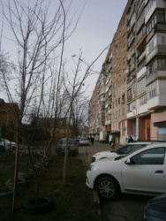 Здається 2-х кімнатна квартира в замостянському районі. Житловий стан, все є для життя. фото 16 Здається 2-х кімнатна квартира в замостянському районі. Житловий стан, все є для життя. фото 16