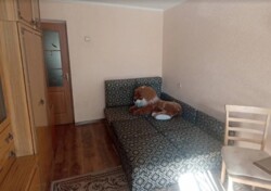 Здається 1-но кімнатна квартира в р-ні Вишенька. Все є. фото 3 Здається 1-но кімнатна квартира в р-ні Вишенька. Все є. фото 3