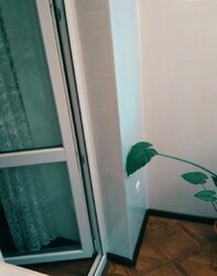 Здається 1-но кімнатна квартира, центральна частина міста. все є для життя фото 8 Здається 1-но кімнатна квартира, центральна частина міста. все є для життя фото 8