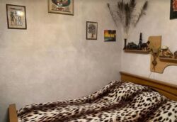   2   .  ʳ,  . - ,  .  5