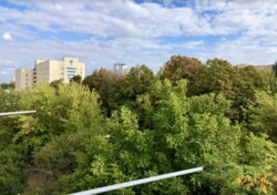 Здається гарна з ремонтом 1-но кімнатна квартира в р-ні Слов'янка. фото 10 Здається гарна з ремонтом 1-но кімнатна квартира в р-ні Слов'янка. фото 10