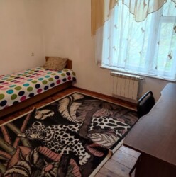  2-    -  ,  .  , .  5