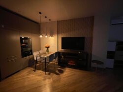 Оренда сучасної 1-кімнатної квартири. ЖК Пироговський.Урожай фото 14 Оренда сучасної 1-кімнатної квартири. ЖК Пироговський.Урожай фото 14