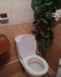  .    2-   . .  .   2