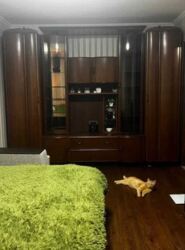 Здається 2-х кімнатна квартира в р-ні Замостя, все є, нормальний стан. фото 3 Здається 2-х кімнатна квартира в р-ні Замостя, все є, нормальний стан. фото 3