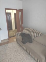 Здається 1-но кімнатна квартира в р-ні Поділля. Все є. Гарна фото 2 Здається 1-но кімнатна квартира в р-ні Поділля. Все є. Гарна фото 2