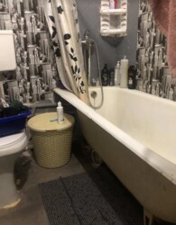 Здається в оренду 1-но кімнатна квартира на Вишеньці. все є. фото 6 Здається в оренду 1-но кімнатна квартира на Вишеньці. все є. фото 6