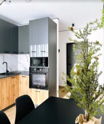 ������������ ������ 1� �������� �� ����. ��������� �� Central Park Vinnytsia. ����������. ���� 20