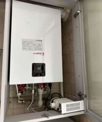 ������������ ������ 2� �������� �� ���. ������ ���� 11