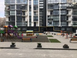   1-    - ' (  Avalon)  11