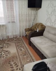 Здається 2-х кімнатна квартира простий стан, Замостя. фото 1 Здається 2-х кімнатна квартира простий стан, Замостя. фото 1