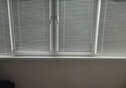 Здається в оренду 3-х кімнатна квартира в р-ні Вишенька. Добрий стан. фото 3 Здається в оренду 3-х кімнатна квартира в р-ні Вишенька. Добрий стан. фото 3