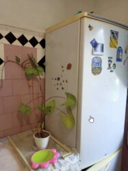 Здається 2-х кімнатна квартира в р-ні ринку Урожай. Мед університет. фото 1 Здається 2-х кімнатна квартира в р-ні ринку Урожай. Мед університет. фото 1