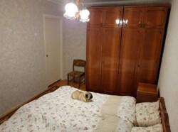 Здається 2-х кімнатна квартира на ближньому замості. Все є для життя фото 6 Здається 2-х кімнатна квартира на ближньому замості. Все є для життя фото 6