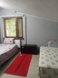 Здається кімната біля Скай парку, центр міста, для 2-х людей, або одного фото 5 Здається кімната біля Скай парку, центр міста, для 2-х людей, або одного фото 5