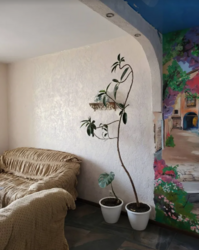 Оренда 2к квартири на вул. Свободи 8 Ленінський район фото 4 Оренда 2к квартири на вул. Свободи 8 Ленінський район фото 4