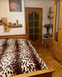   2   .  ʳ,  . - ,  .  3