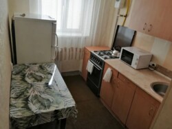 Здається 1-но кімнатна квартира в Центральній частині міста. фото 1 Здається 1-но кімнатна квартира в Центральній частині міста. фото 1