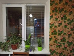  1-- -, -  (. ).  .   4