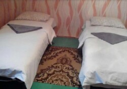 Здається в оренду 3-х кімнатна квартира в Замостянському районі. фото 3 Здається в оренду 3-х кімнатна квартира в Замостянському районі. фото 3