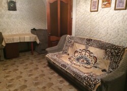 Здається 2-х кімнатна квартира. Район Вишенька, є вся неохідна техніка та меблі. фото 2 Здається 2-х кімнатна квартира. Район Вишенька, є вся неохідна техніка та меблі. фото 2