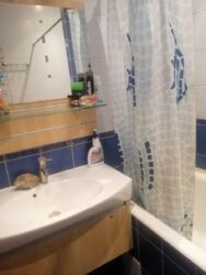 Здається 3-х кімнатна квартира, все є, гарний стан, Слов'янка фото 10 Здається 3-х кімнатна квартира, все є, гарний стан, Слов'янка фото 10