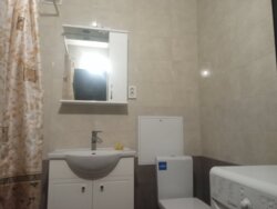 ОРЕНДА 1-КІМНАТНОЇ КВАРТИРИ В НОВОБУДОВІ фото 7 ОРЕНДА 1-КІМНАТНОЇ КВАРТИРИ В НОВОБУДОВІ фото 7