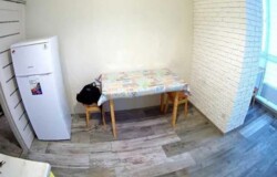 Здається 1-но кімнатна квартира в ЖК Клубний дім, новий ремонт фото 5 Здається 1-но кімнатна квартира в ЖК Клубний дім, новий ремонт фото 5