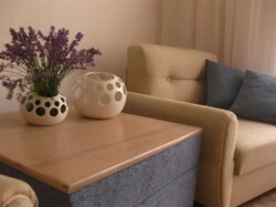 Здається 1-но кімнатна квартира в р-ні Фонтану Рошен. фото 4 Здається 1-но кімнатна квартира в р-ні Фонтану Рошен. фото 4