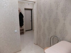  1-  .  .  ,    .  13