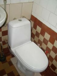 ������������ ������ 2� �������� � ����� ����, ������ ����, ��� � ��� �����. ���� 2