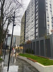  1-    - .  ˳.  .  13