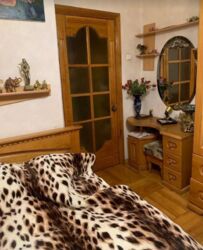   2   .  ʳ,  . - ,  .  6