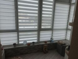 ������� 1-�� ������� �������� � ���������, ��� �, ������ ����. ���� 6