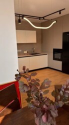 Здається 2-х кімнатна квартира в Замостянському районі. Чудовий стан. фото 6 Здається 2-х кімнатна квартира в Замостянському районі. Чудовий стан. фото 6