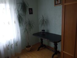 Здається 2-х кімнатна квартира, все є, гарний варіант фото 8 Здається 2-х кімнатна квартира, все є, гарний варіант фото 8