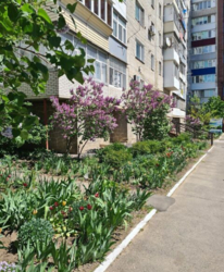 Яскрава 2 кімнатна квартира на оренду фото 9 Яскрава 2 кімнатна квартира на оренду фото 9