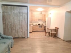 Здається 5-ти кімнатна квартира в Центрі міста. Добрий житловий стан. фото 6 Здається 5-ти кімнатна квартира в Центрі міста. Добрий житловий стан. фото 6