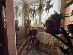 ������� � ������ 2-� ������� �������� � �-�� ����� ������. ��� �. ���� 2