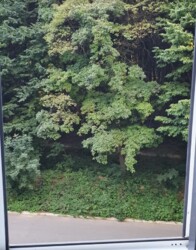 ������� 1-�� ������� �������� � �-�� �'��������. ��� ���� �� �������. ���� 5