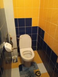 Здається 2-х кімнатна квартира, все є, гарний варіант фото 11 Здається 2-х кімнатна квартира, все є, гарний варіант фото 11