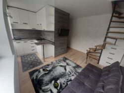 Здається 2-х кімнатна квартира в центрі міста, все є після ремонту фото 4 Здається 2-х кімнатна квартира в центрі міста, все є після ремонту фото 4