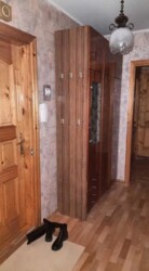  2-  ,   ,     (. )  7