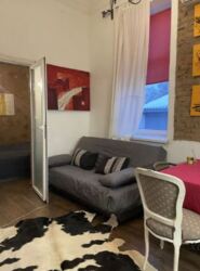 Здається 2-х кімнатна квартира в Центрі міста, окремий вхід. фото 6 Здається 2-х кімнатна квартира в Центрі міста, окремий вхід. фото 6