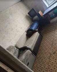 Здається 2-х кімнатна квартира в р-ні Ближнього Замостя. Все є. фото 11 Здається 2-х кімнатна квартира в р-ні Ближнього Замостя. Все є. фото 11