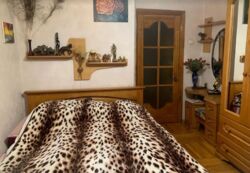   2   .  ʳ,  . - ,  .  1